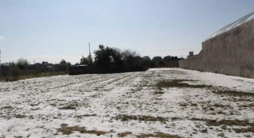 Tlaxcala amanece bajo hielo: granizada sorprende y deja severos daños en casas y cultivos