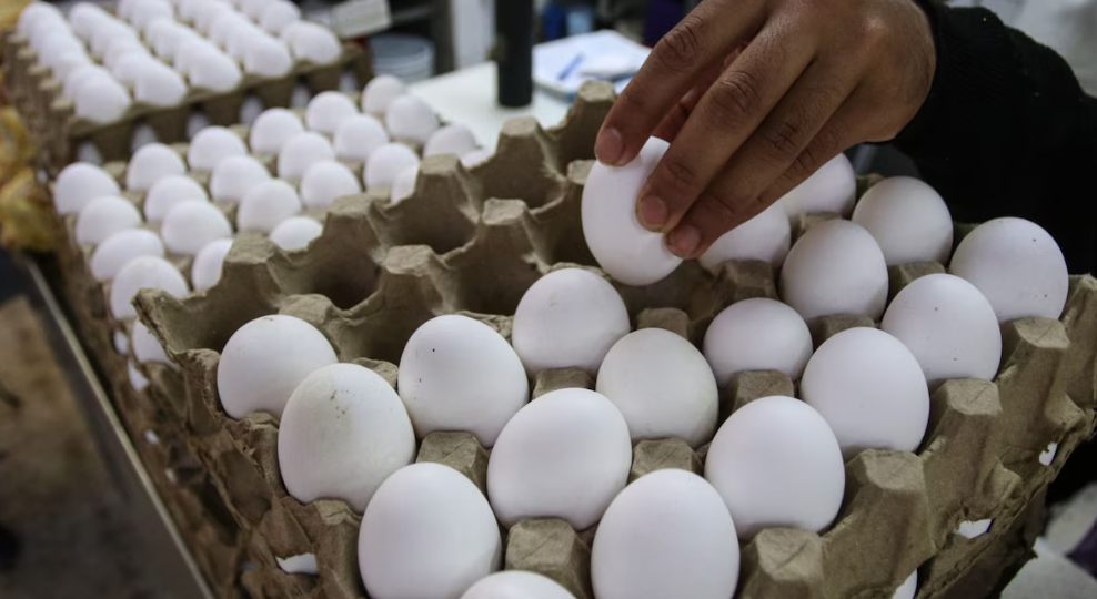 Huevos en un supermercado de México con precios exhibidos.