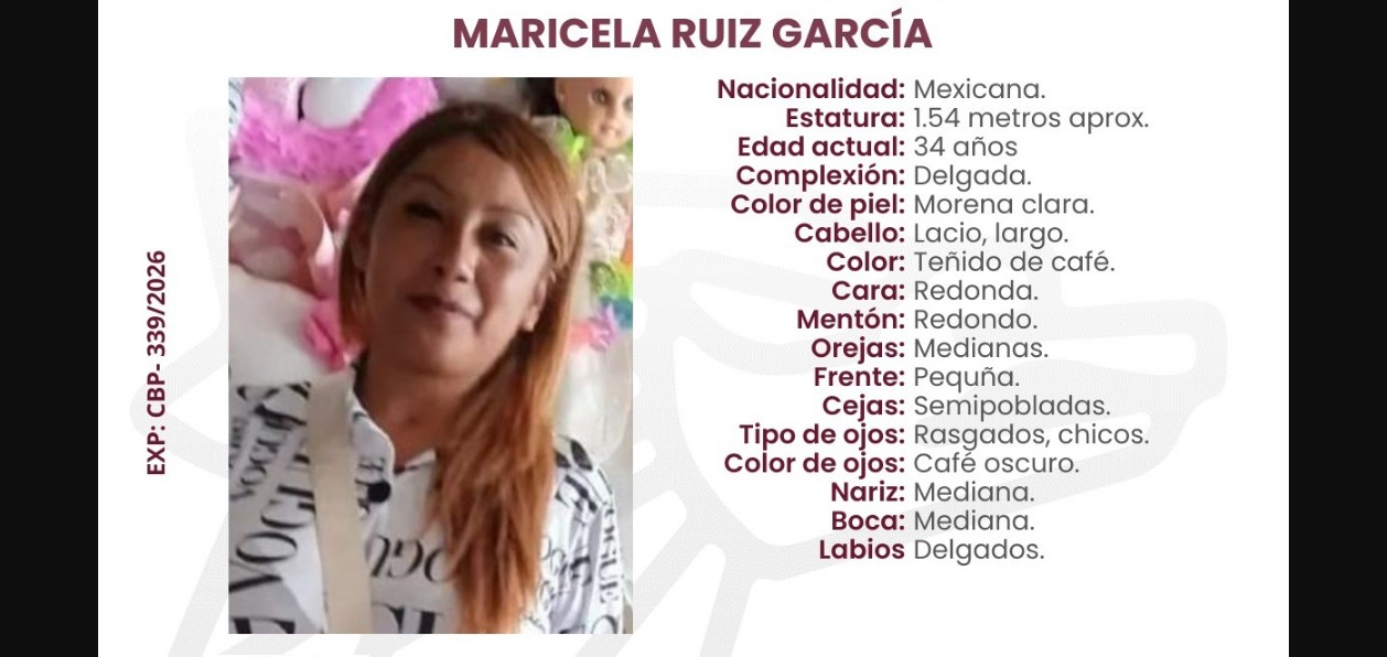 Personal de búsqueda realiza labores en San Martín Texmelucan.