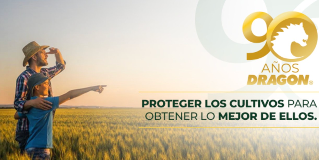 Un reconocimiento que consolida su liderazgo