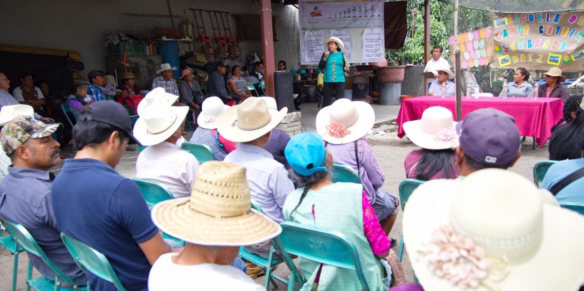 Tractores agrícolas en Puebla