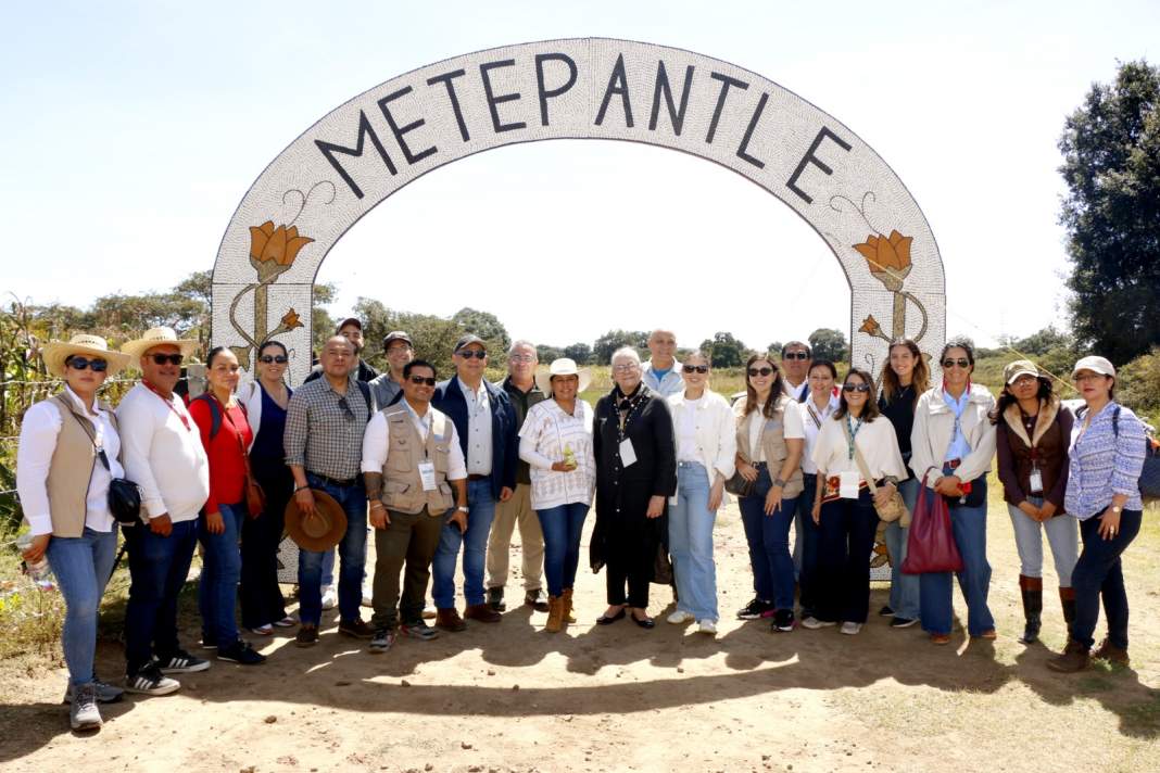 Escuela del Maguey y Metepantle en Santiago Cuaula