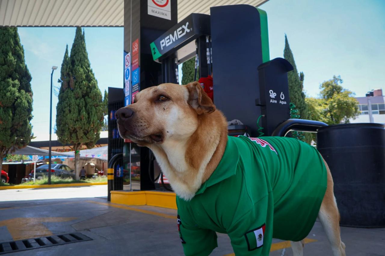 ¡De extraviado a empleado del mes! La historia de "Wero", el perrito gasolinero que unió a Tlaxcala