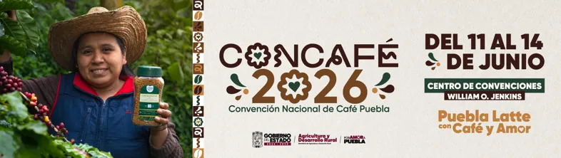 Concafé