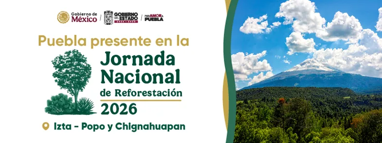 Jornada Nacional de Reforetación 2026