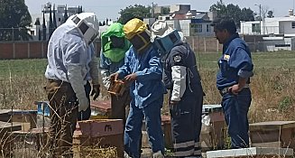 Capacitan a bomberos en San Andrés Cholula para protección de abejas