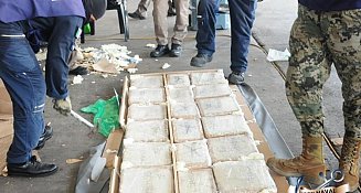 Encuentran seis toneladas de marihuana en aduana de Veracruz 