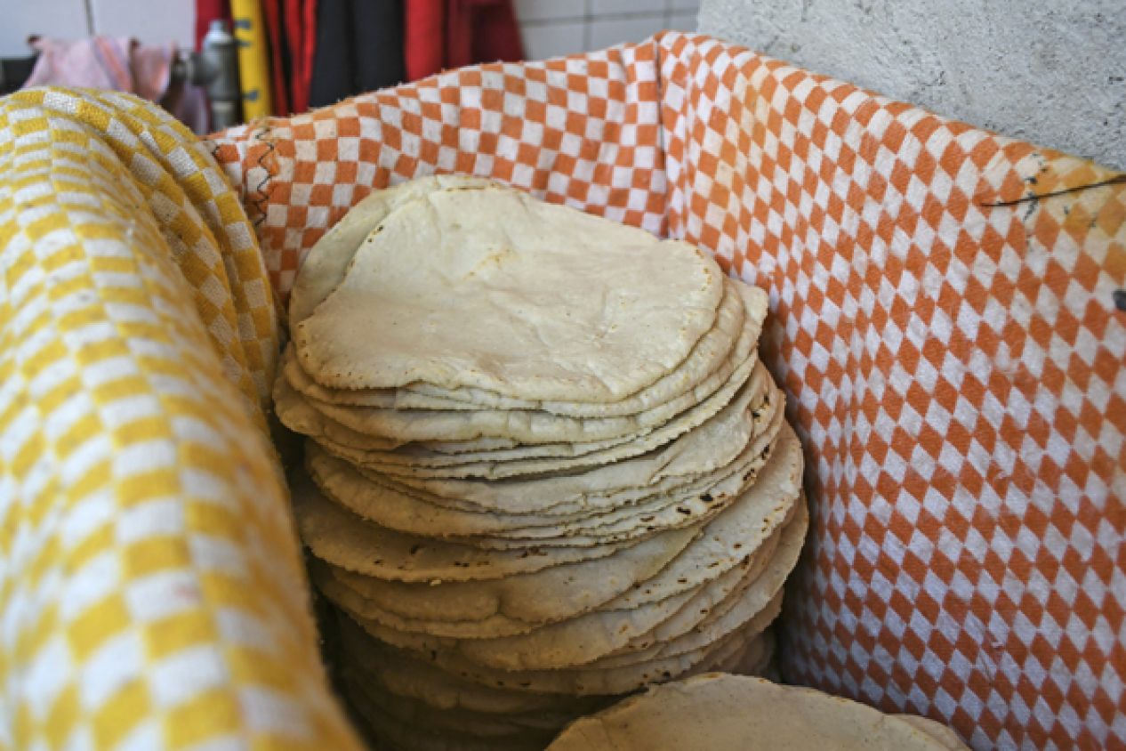 A menos de 20 pesos el precio de la tortilla en Tlaxcala