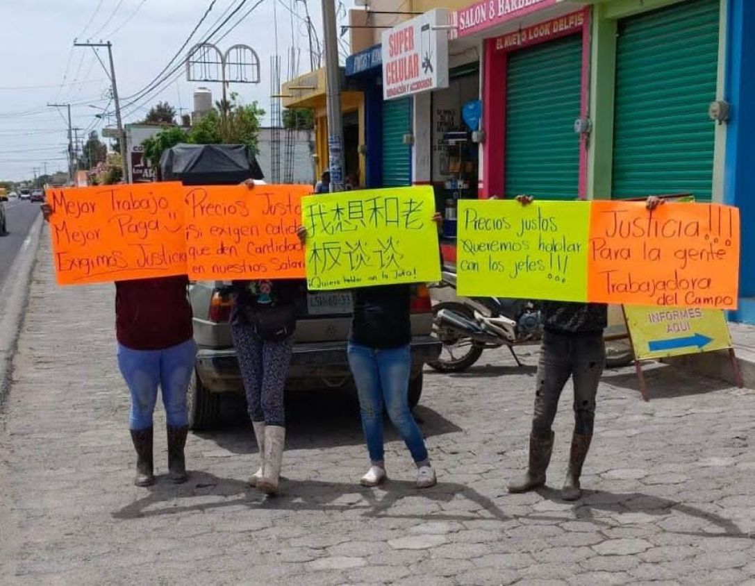 Jornaleros se manifiestan en oficinas de Empaque Produce Sol Dorado en Puebla 
