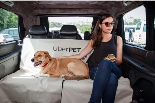 ¡Ya podrás viajar con tu mascota en Uber!