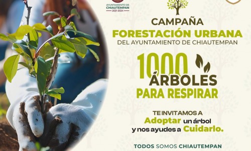 Ayuntamiento de Chiautempan pone en marcha campaña de forestación