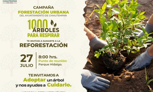 Ayuntamiento de Chiautempan invita a que te sumes a plantar un árbol