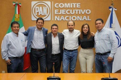 Grupo de Míriam Martínez prepara renovación del PAN nacional ¿dejarán sola a Adriana Dávila?
