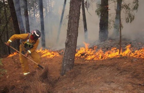 En la primera mitad del año, Tlaxcala tuvo 161 incendios forestales