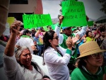 Partido Verde el más afectado con anulación de elecciones en 3 municipios