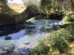 Alcalde de Puebla aboga por un enfoque intermunicipal para el saneamiento del río Atoyac