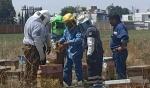 Capacitan a bomberos en San Andrés Cholula para protección de abejas