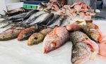 Foto: Cortesía Caen ventas de pescado en Puebla pese a temporada alta; desconfianza y clima impactan al sector