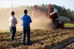 Agricultores en sembradío de maní. Fotografía cortesía de Tyler Jones, UF/IFAS. Agricultores durante un taller de planificación financiera
