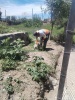 Comunicado oficial Gobierno de San Pedro Cholula mantiene labores permanentes de limpieza en el vaso regulador de Santiago Mixquitla