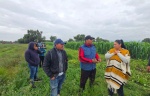 Foto: Cortesía Proyectar al campo como fortaleza estratégica de México, afirma Ana Lilia Rivera