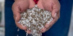 Foto: Cortesía Productores agrícolas reciben fertilizantes gratuitos del programa federal.