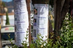 Foto: EsImagen Tlaxcala Colectivos tapizan calles de Tlaxcala con fichas de búsqueda ante crisis por desapariciones