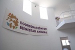 Foto: Cortesía Perros resguardados en albergue de Tlaxcala